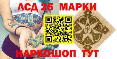 прущие грибы Будённовск