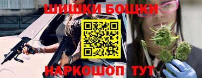 прущие грибы Будённовск