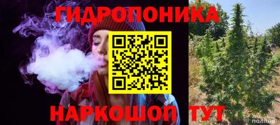 прущие грибы Будённовск