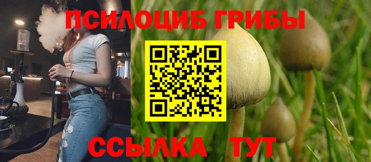 Псилоцибиновые грибы мицелий  Вход с VPN  Мытищи 